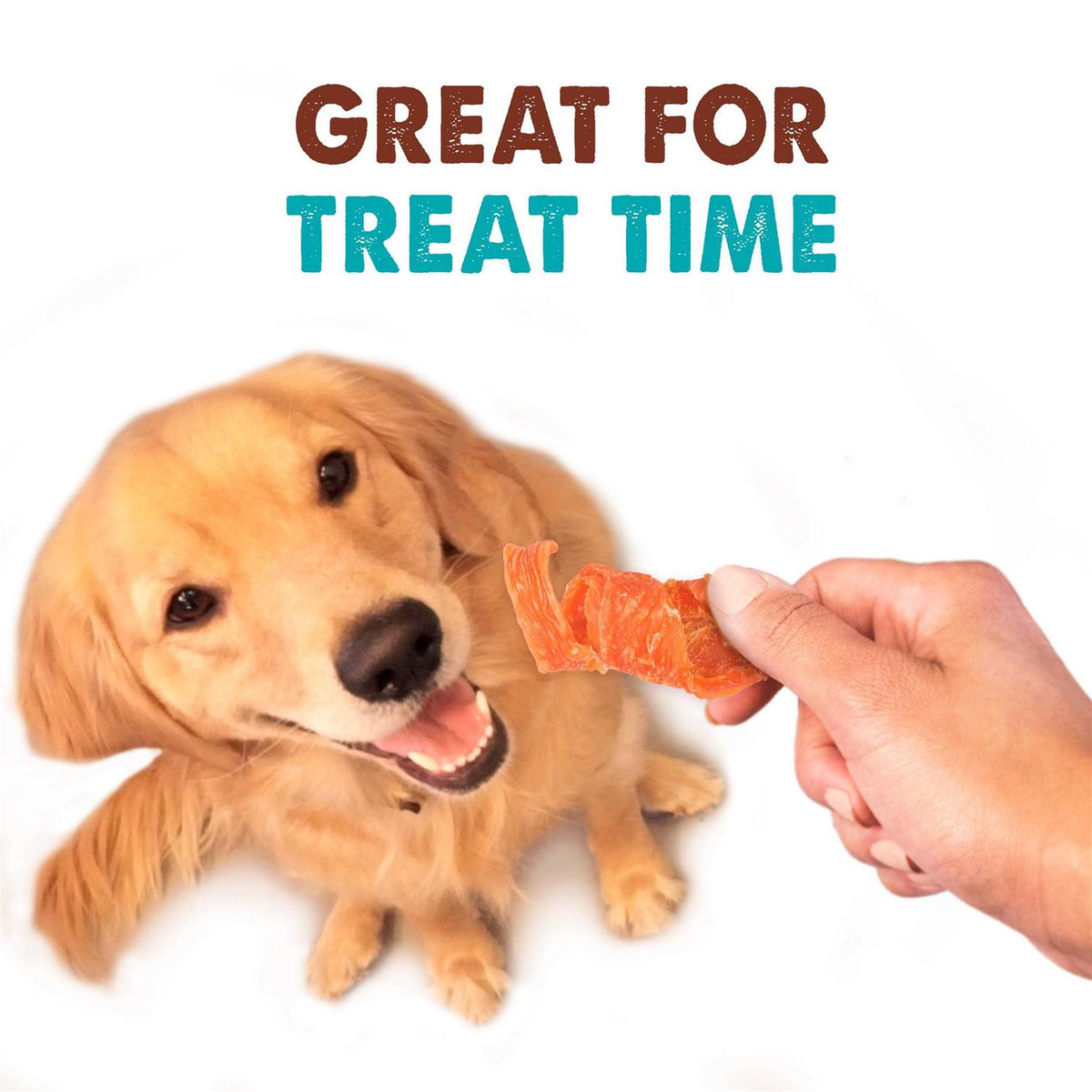 Chicken Jerky Curls Dog Treats T819568