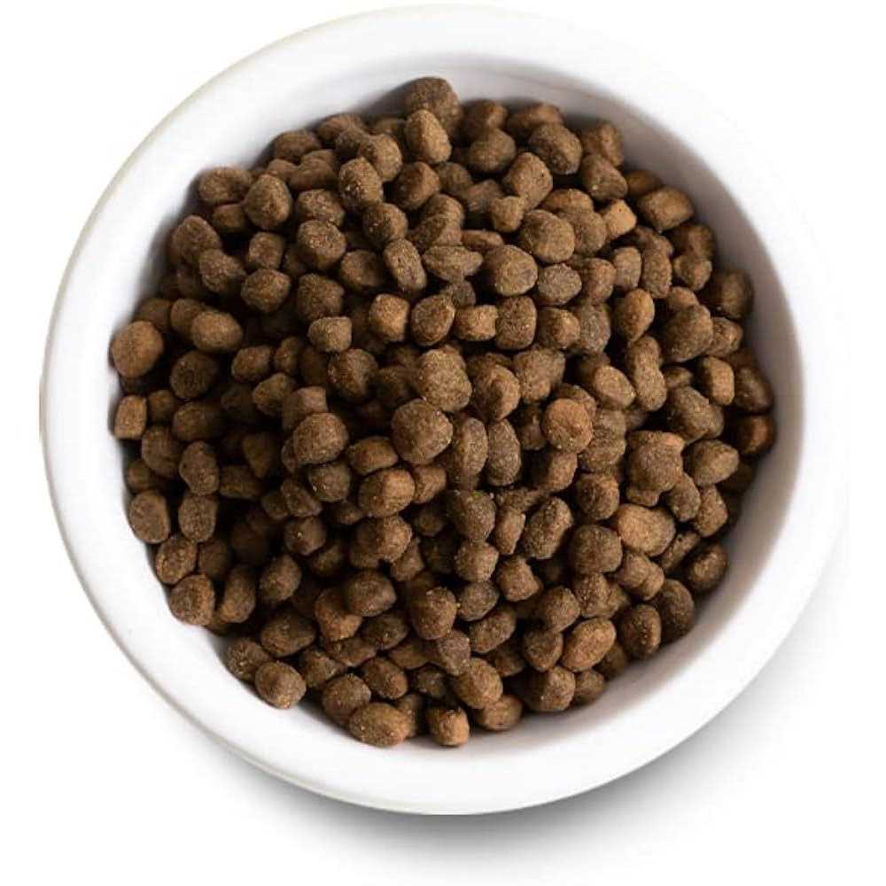Chicken Ancient Grains Dry Dog Food I660