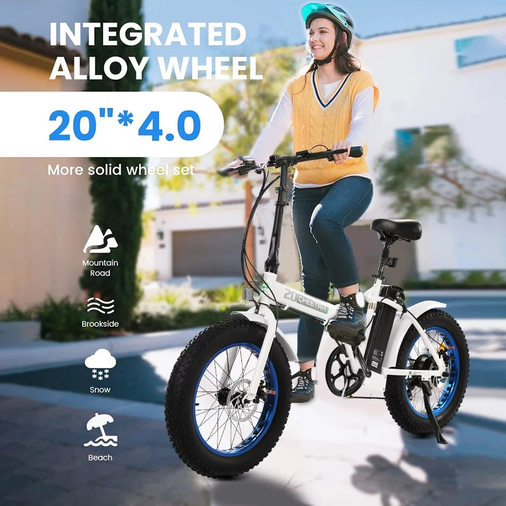 20 Fat Tire Folding Electric Bike 500W 36V S161