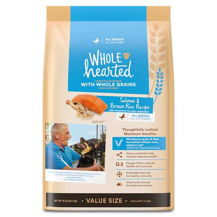 Salmon Recipe Dry Dog Food H501081