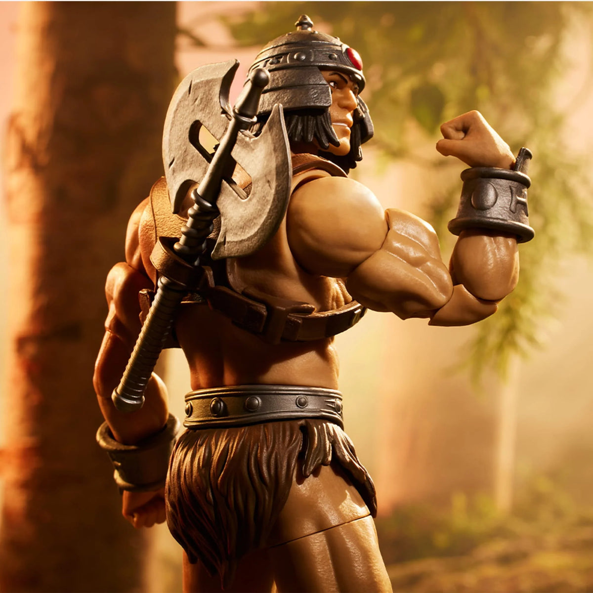 Figure F14646