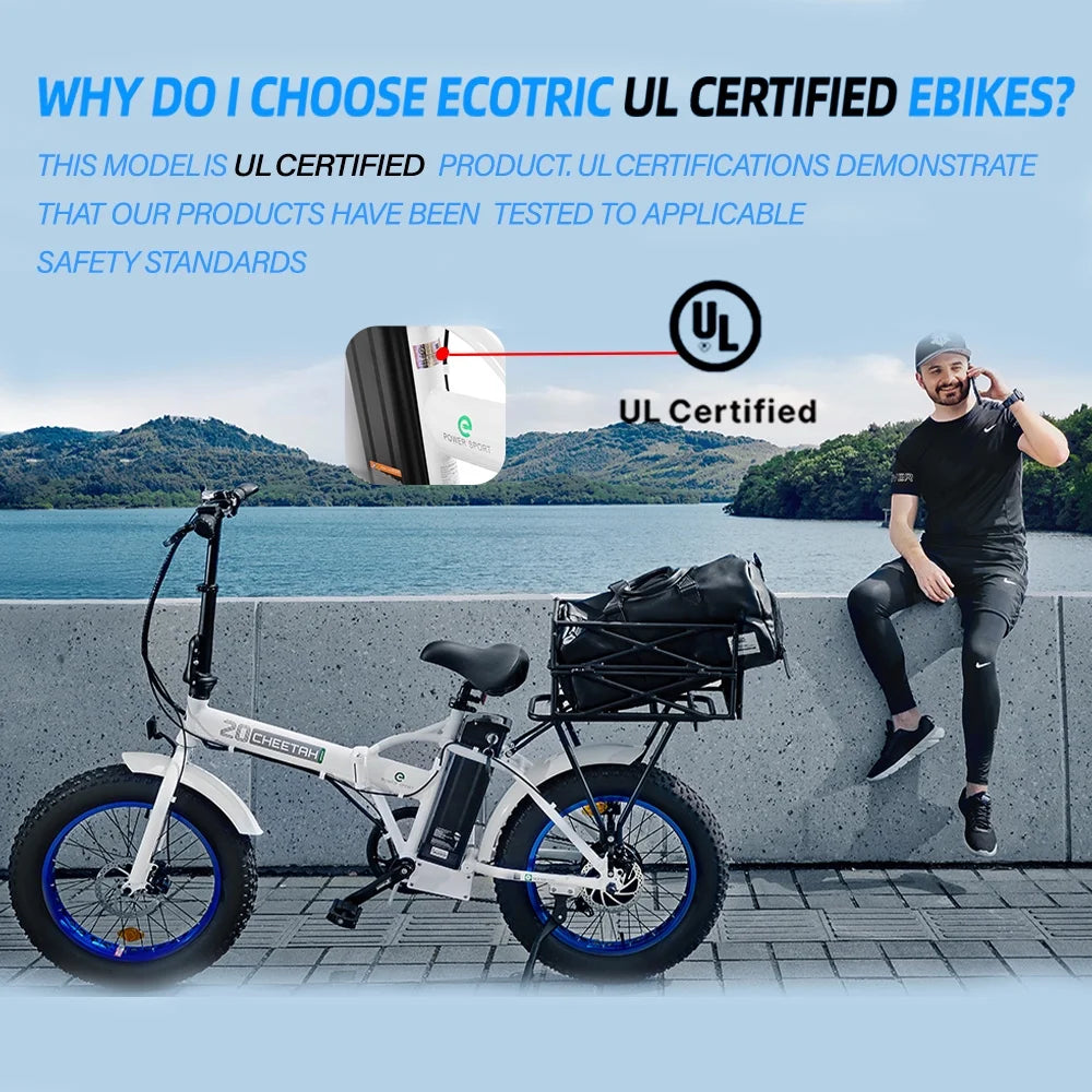 20 Fat Tire Folding Electric Bike 500W 36V S161