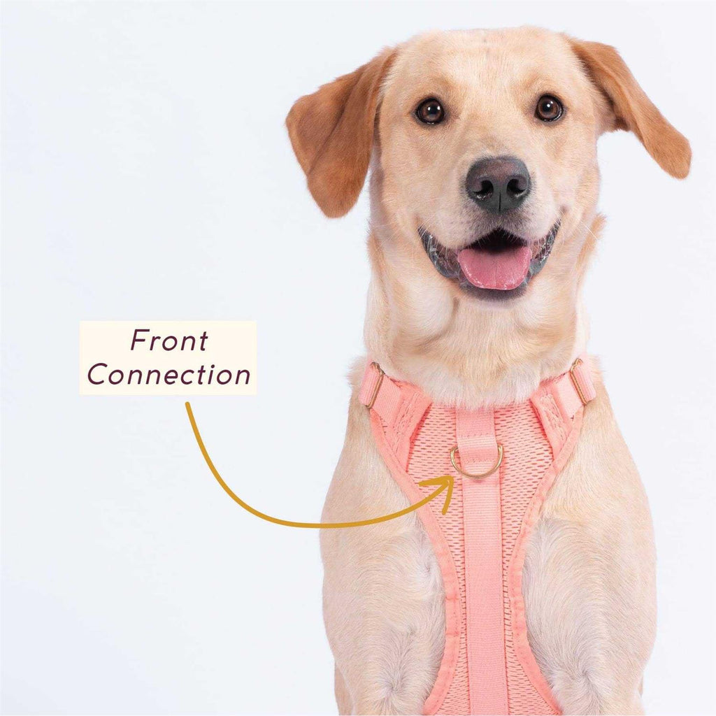 Huggie Harness I9299