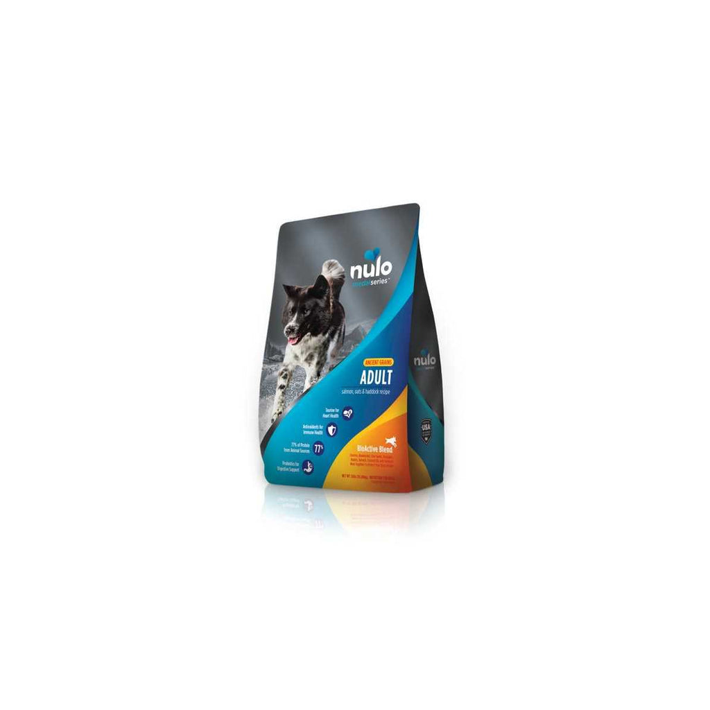 Salmon Dry Dog Food Y25512