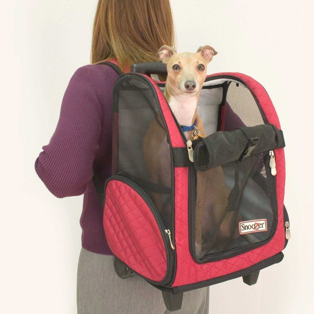 Travel Pet Carrier L463199