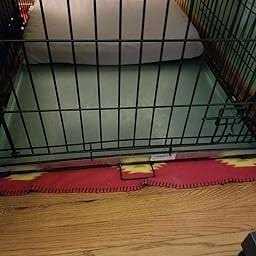 Metal Replacement Dog Crate Pan P591347
