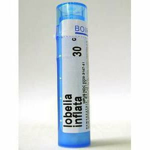Lobelia Inflata 30C 80 plts W685