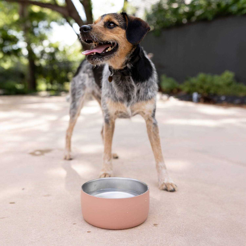 Stainless Steel Pet Water Bowl Y58651