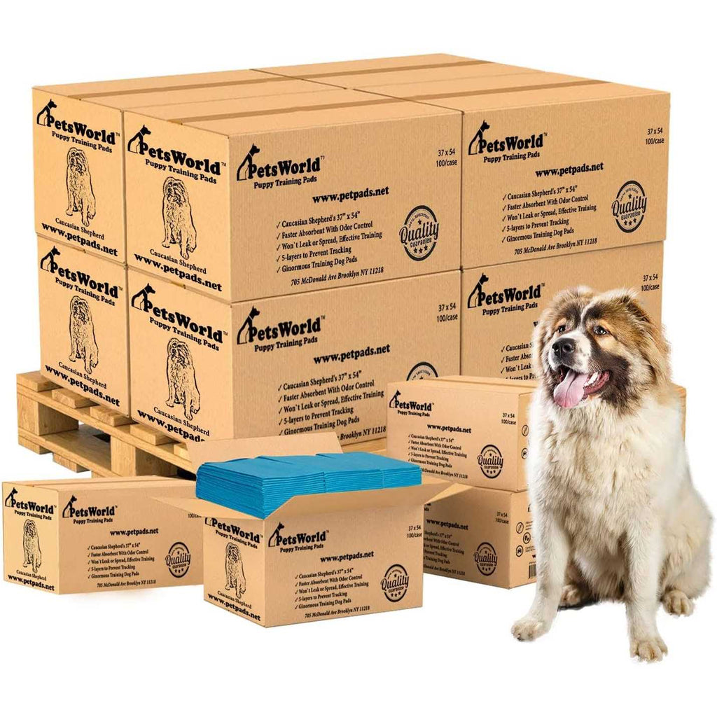 XXL Tear Resistant Pet Potty Pads Q81806