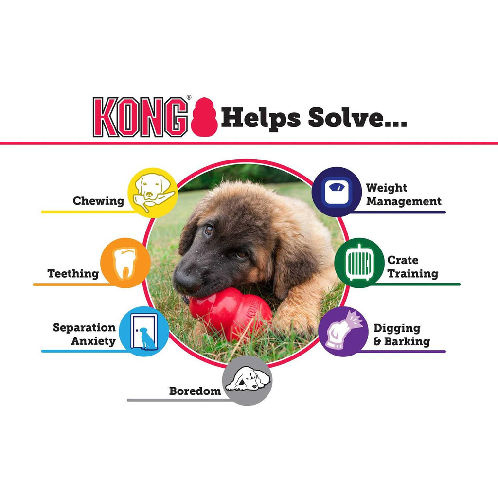 KONG Dog Toy O4991