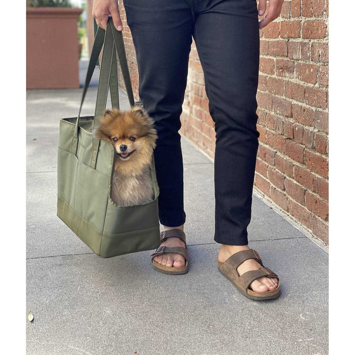 Pet Tote Bag for Small Dogs and Cats K337971