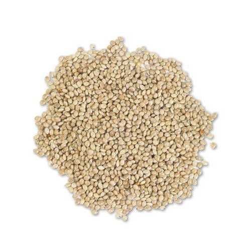 White Proso Millet Wild Bird Food, 50-Pound Z3380