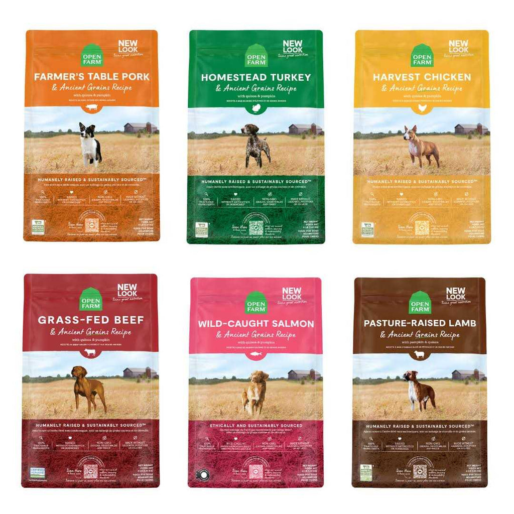 Chicken Ancient Grains Dry Dog Food I660
