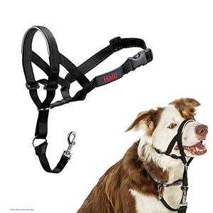 Headcollar Q1867