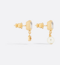 Earrings V766