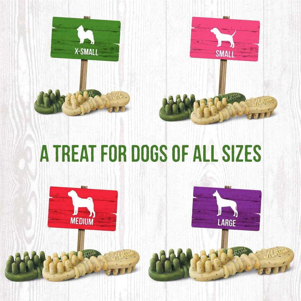 Fresh Kisses Pumpkin Cinnamon Dog Treats C3404