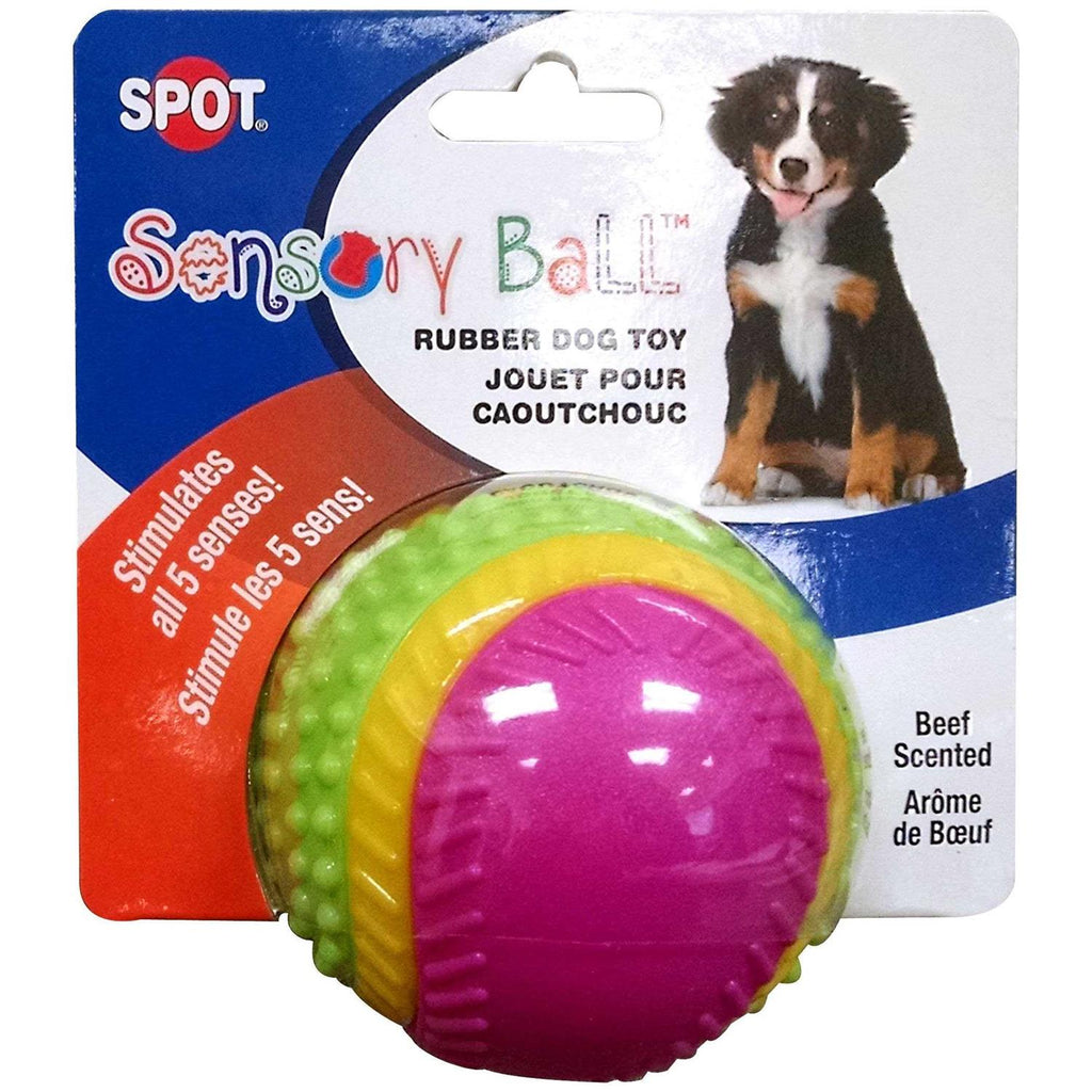 Sensory Ball Dog Toy R745202