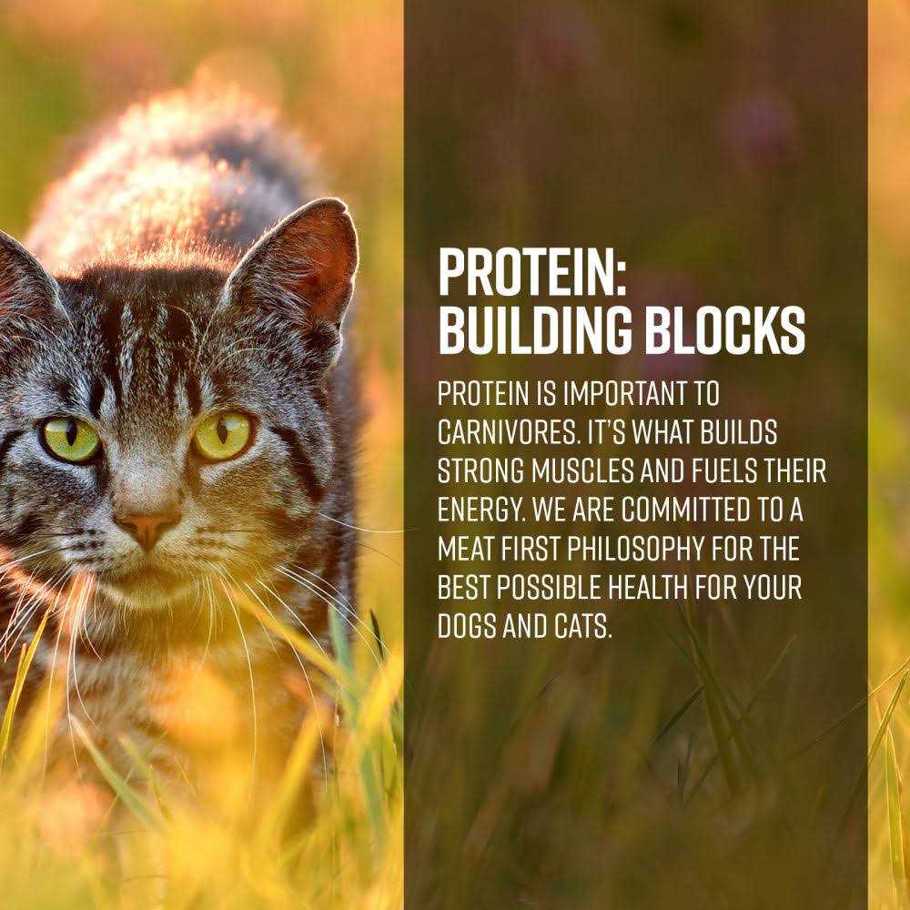 Ranch & Meadow Cat Dry Food O107673