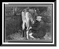 Framed Print 17-7/8" x 21-7/8" X664831