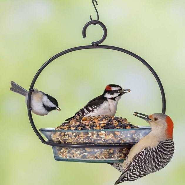 Hot Pepper Blend Bird Food B836
