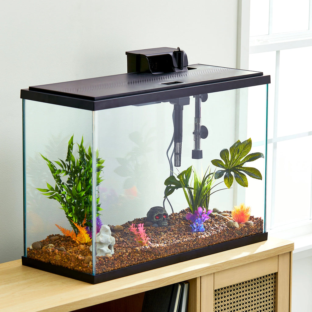 29 Gallon Glass Aquarium Starter Kit V28063