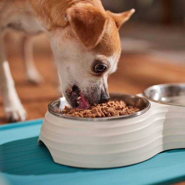 Wet Dog Food K58337