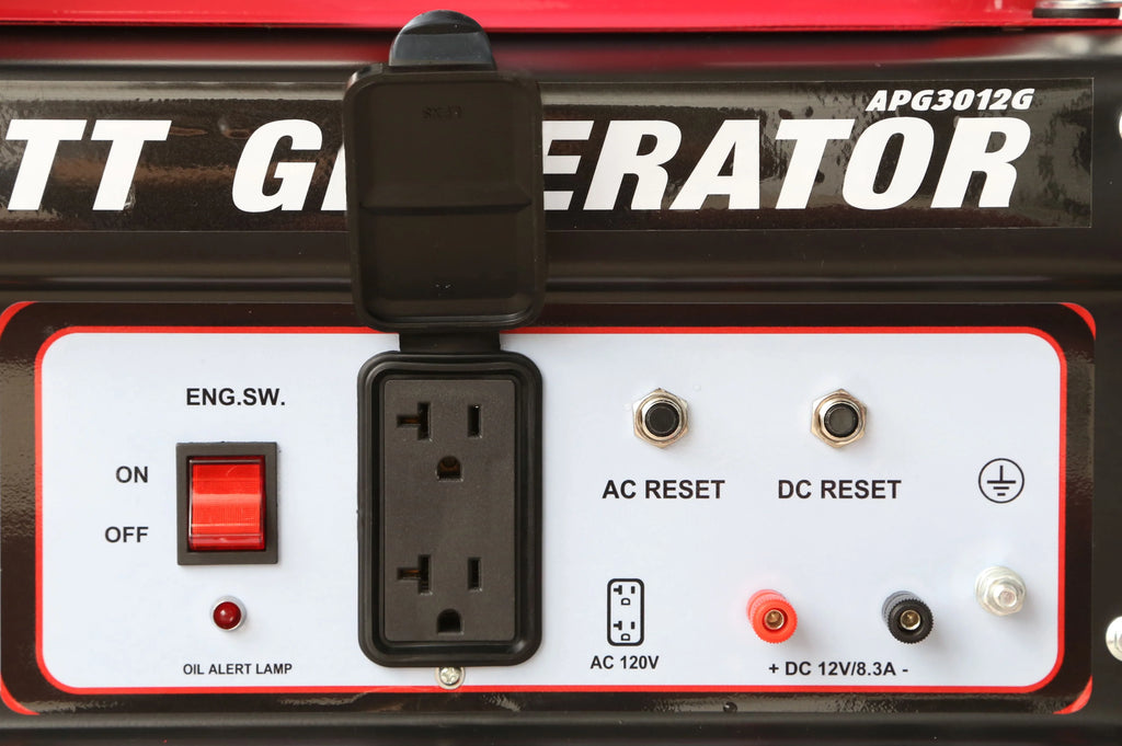 3250 Watt Gas Powered Portable Generator U620294