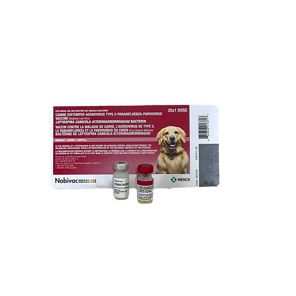 Canine 1 L3630