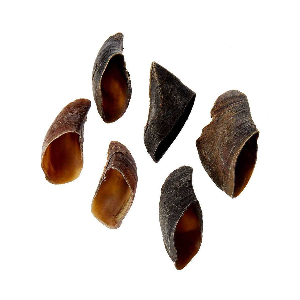 Cow Hooves for Dogs C958929