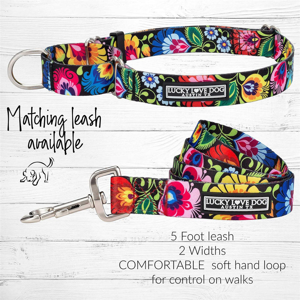 Martingale Dog Collar No Slip S93630