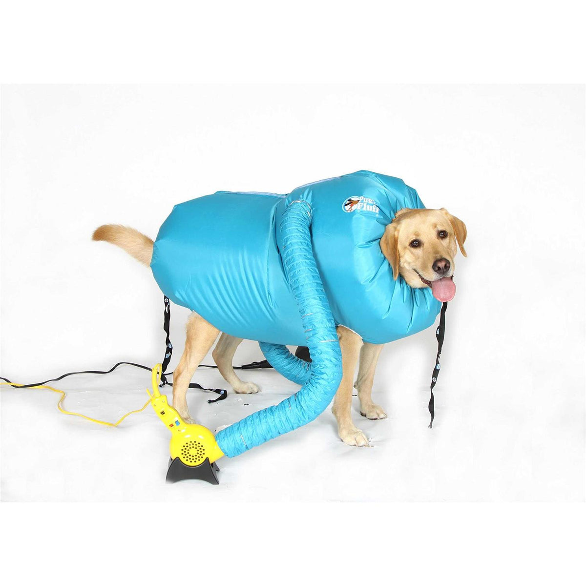 Small Dog Dryer J6832