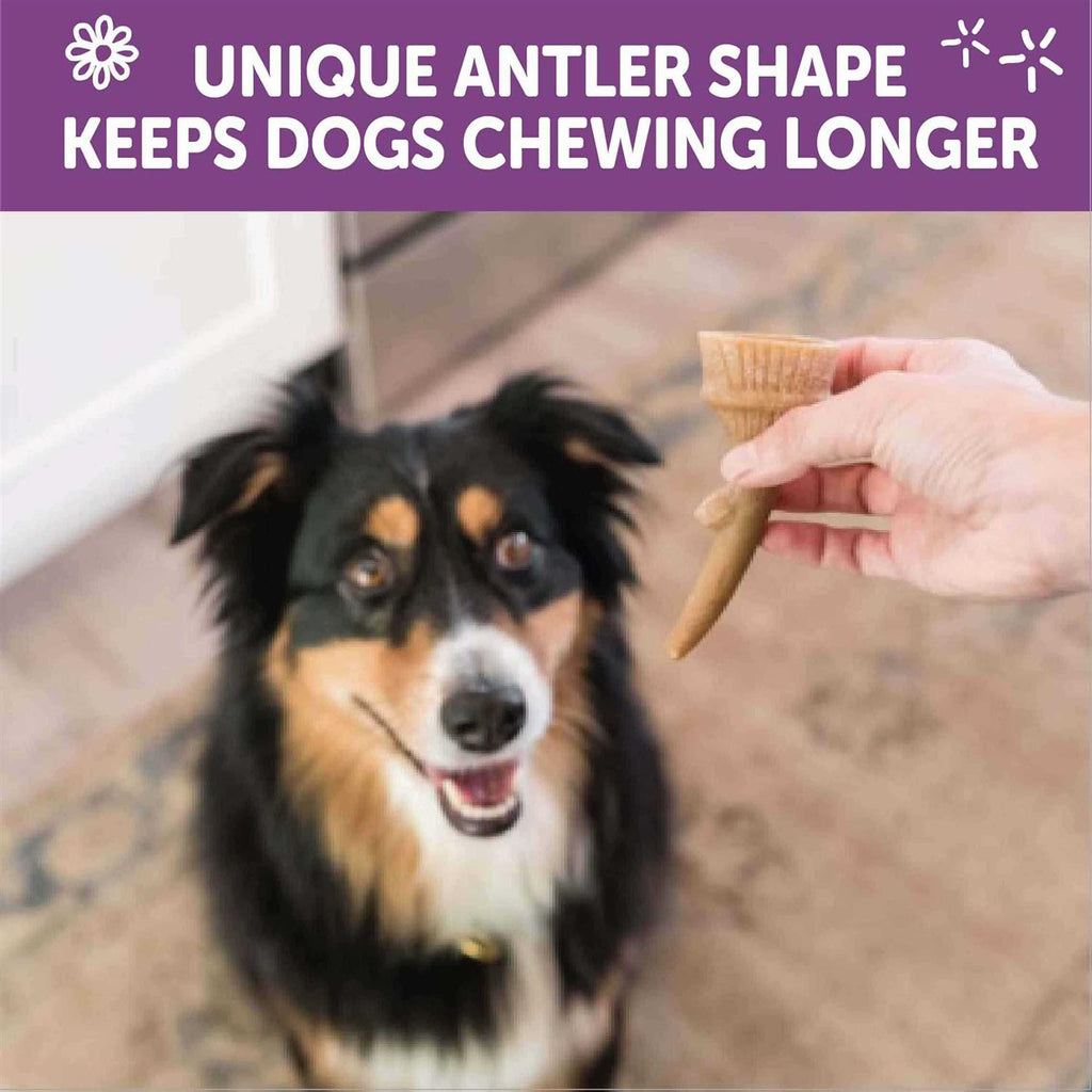 Dog Chews Value Bag I4574