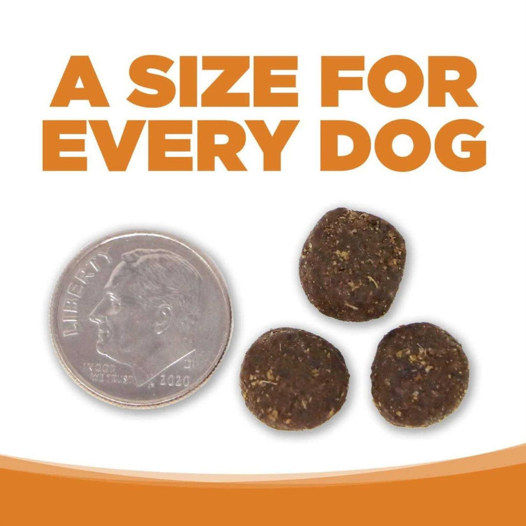 Lamb Rice Dry Dog Food O538133
