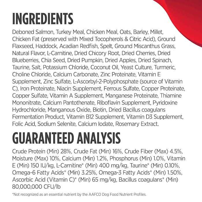 Salmon Dry Dog Food Y25512