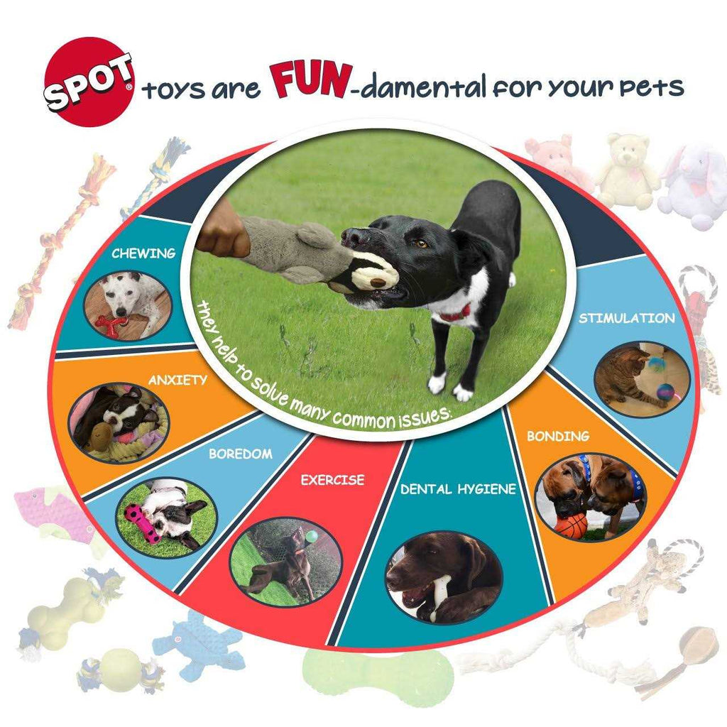 Sensory Ball Dog Toy R745202