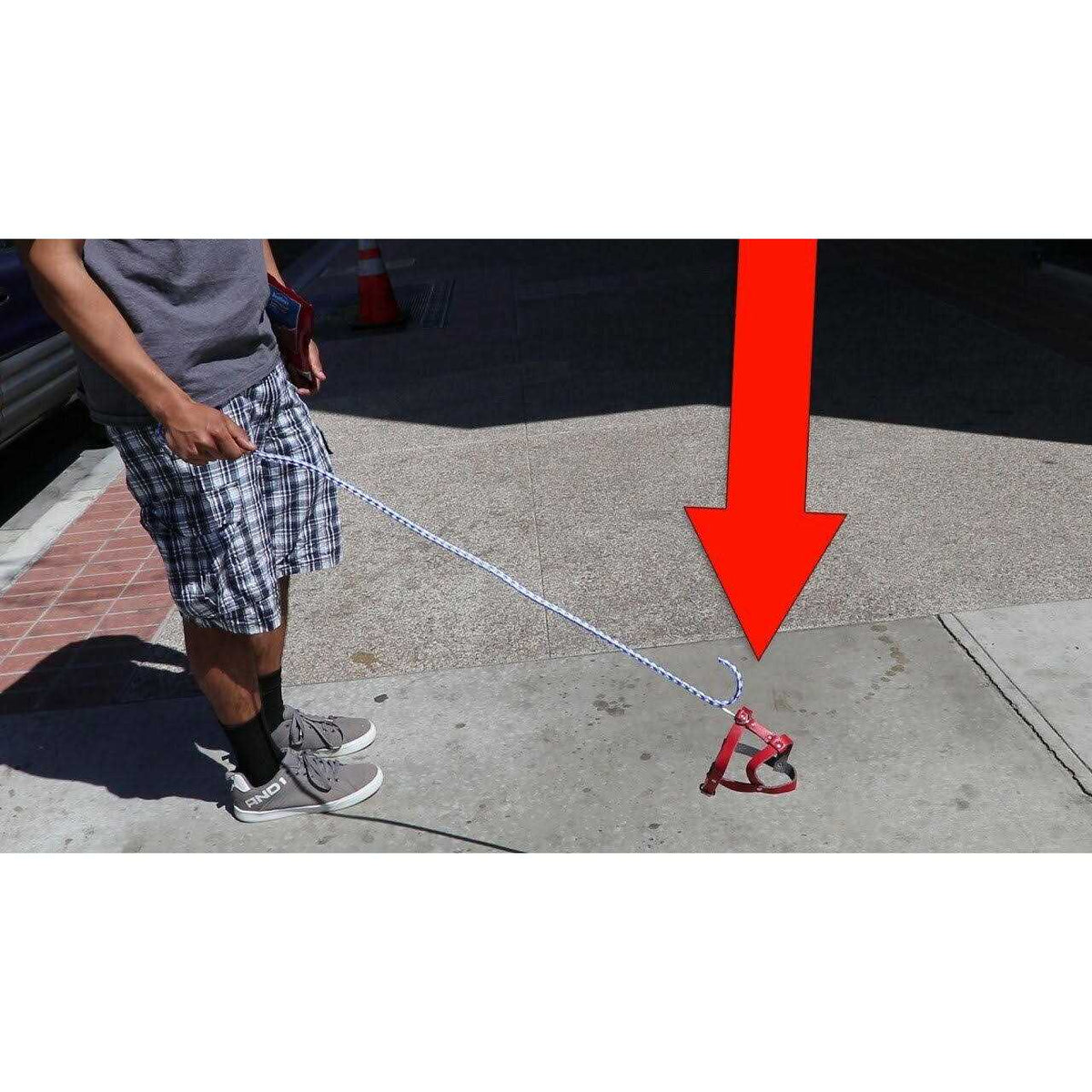Invisible Dog Leash Q88050