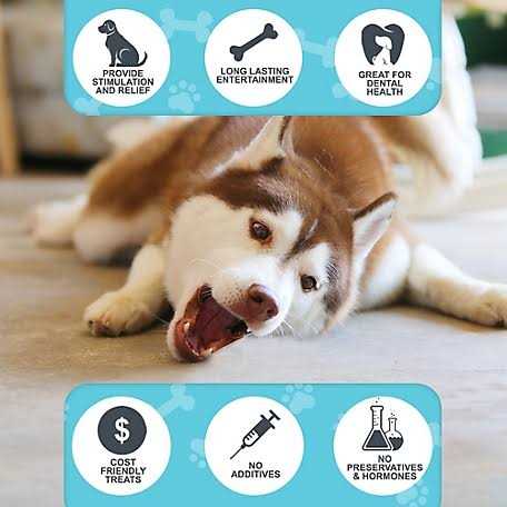 Cow Hooves for Dogs C958929