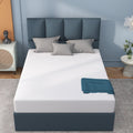 6'' Medium Firm Memory Foam Mattress Q866