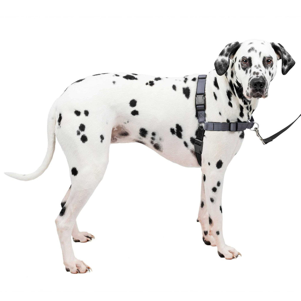 Easy Walk Harness D5219