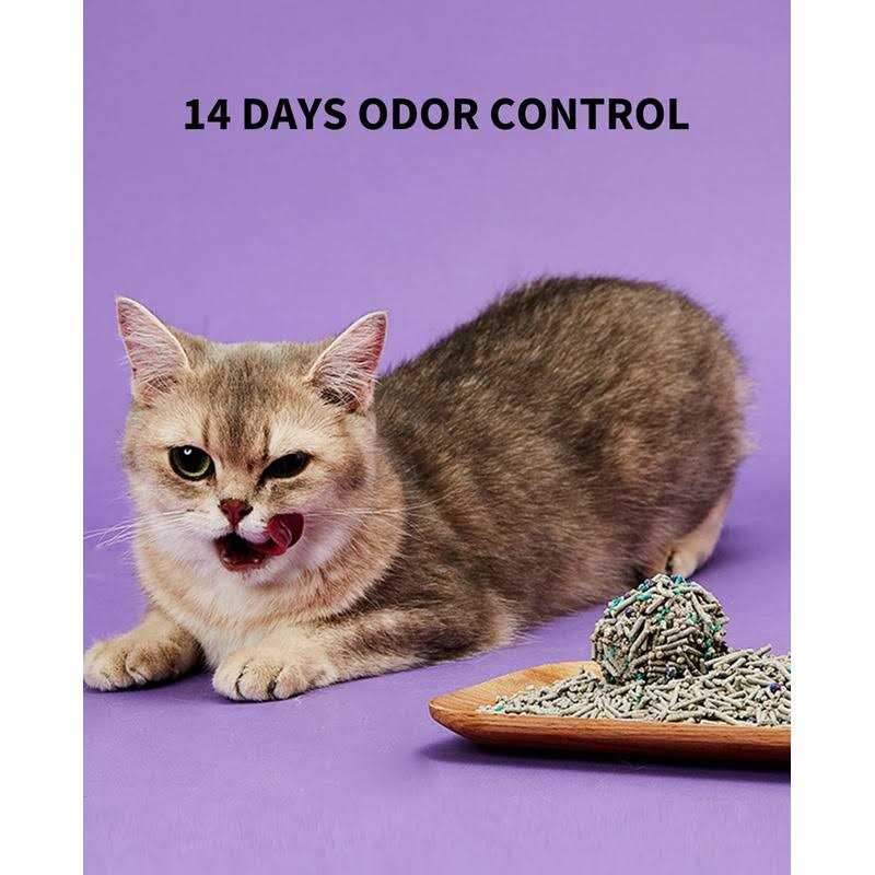 5 in 1 Mixed Cat Litter I5496