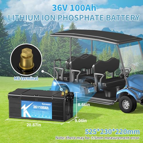 12.8V 100Ah LiFePO4 Battery with 100A BMS R757