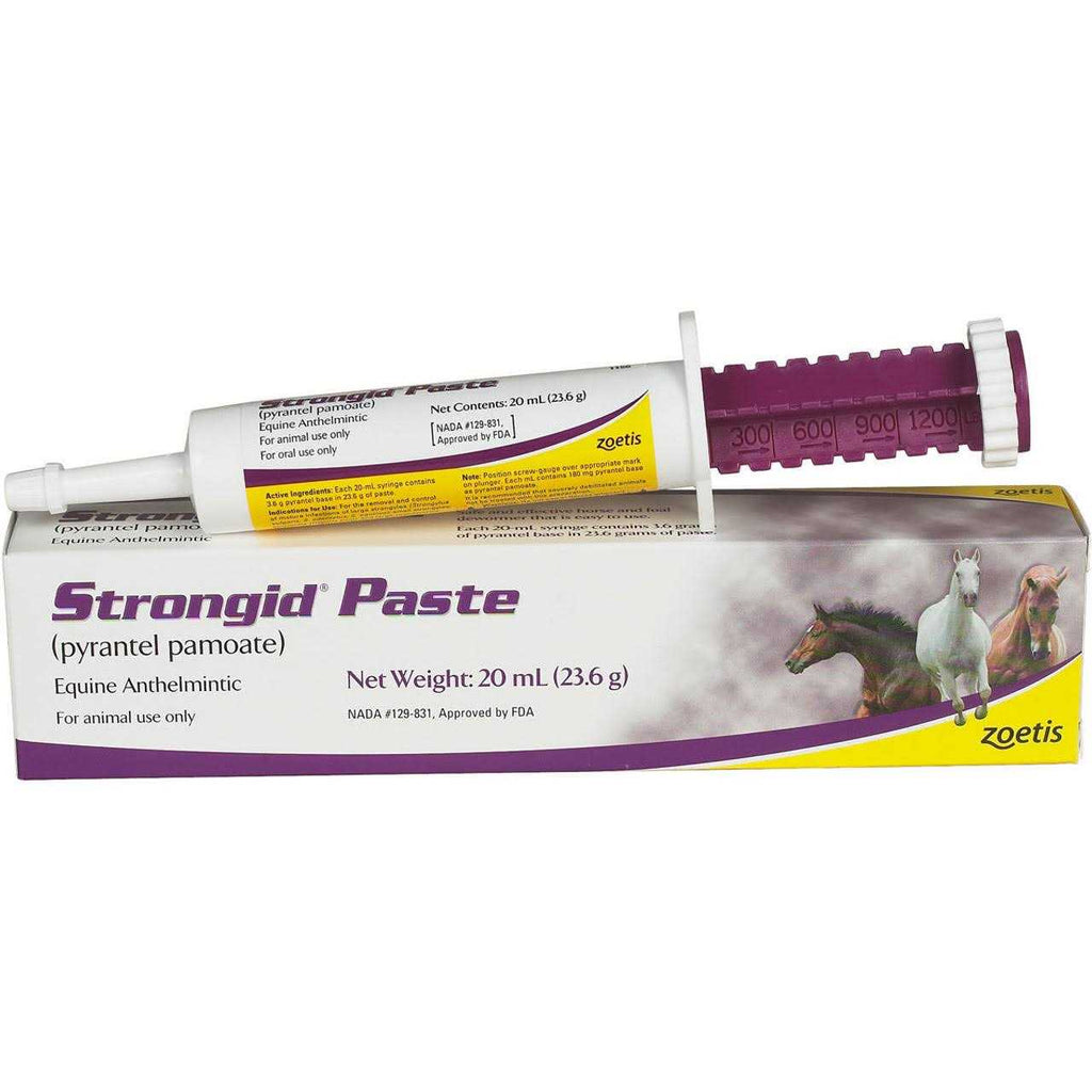 Strongid Paste B383537