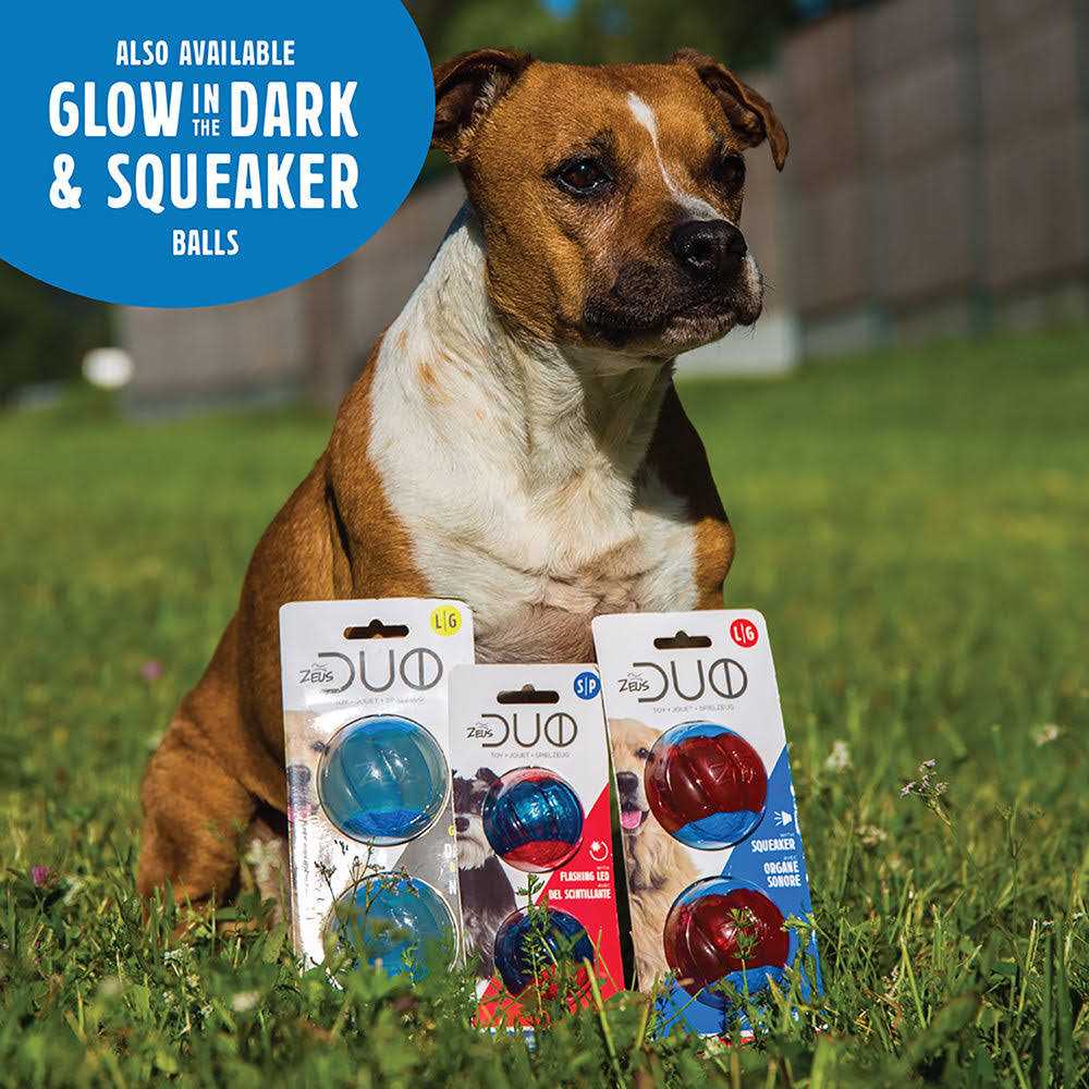 Duo Ball Dog Toy with Squeaker X511