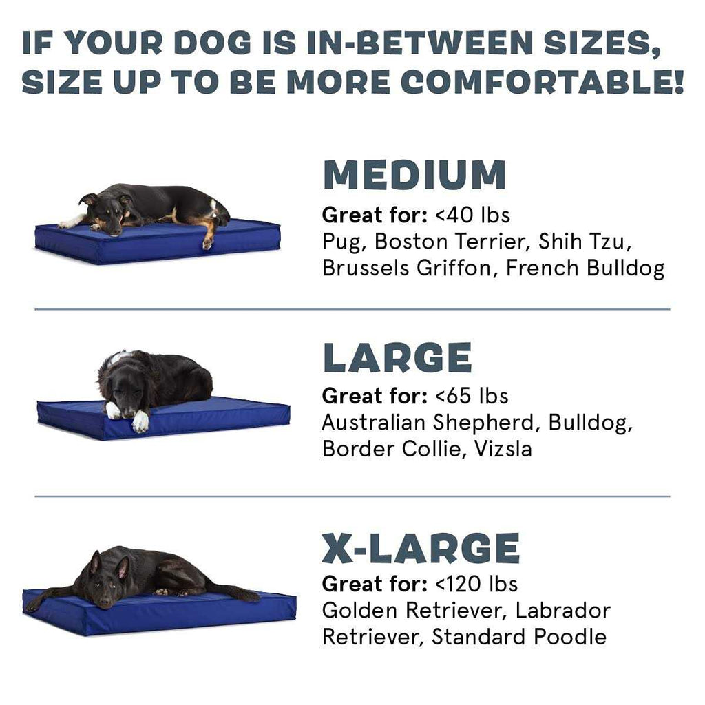 Waterproof Dog or Cat Mattress Bed with Removable Cover L88653