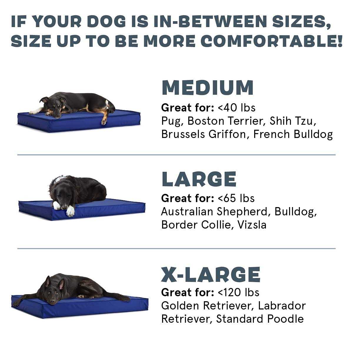 Waterproof Dog or Cat Mattress Bed with Removable Cover L88653