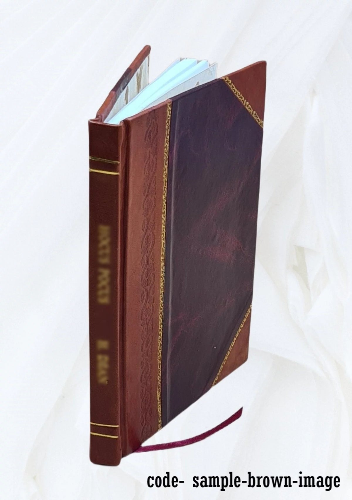 1915 Leather Bound Book R2373