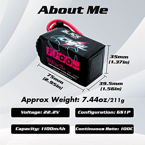 6S 1100mAh 100C 22.2V Lipo Battery with XT60 Plug (2 PCS) V117407