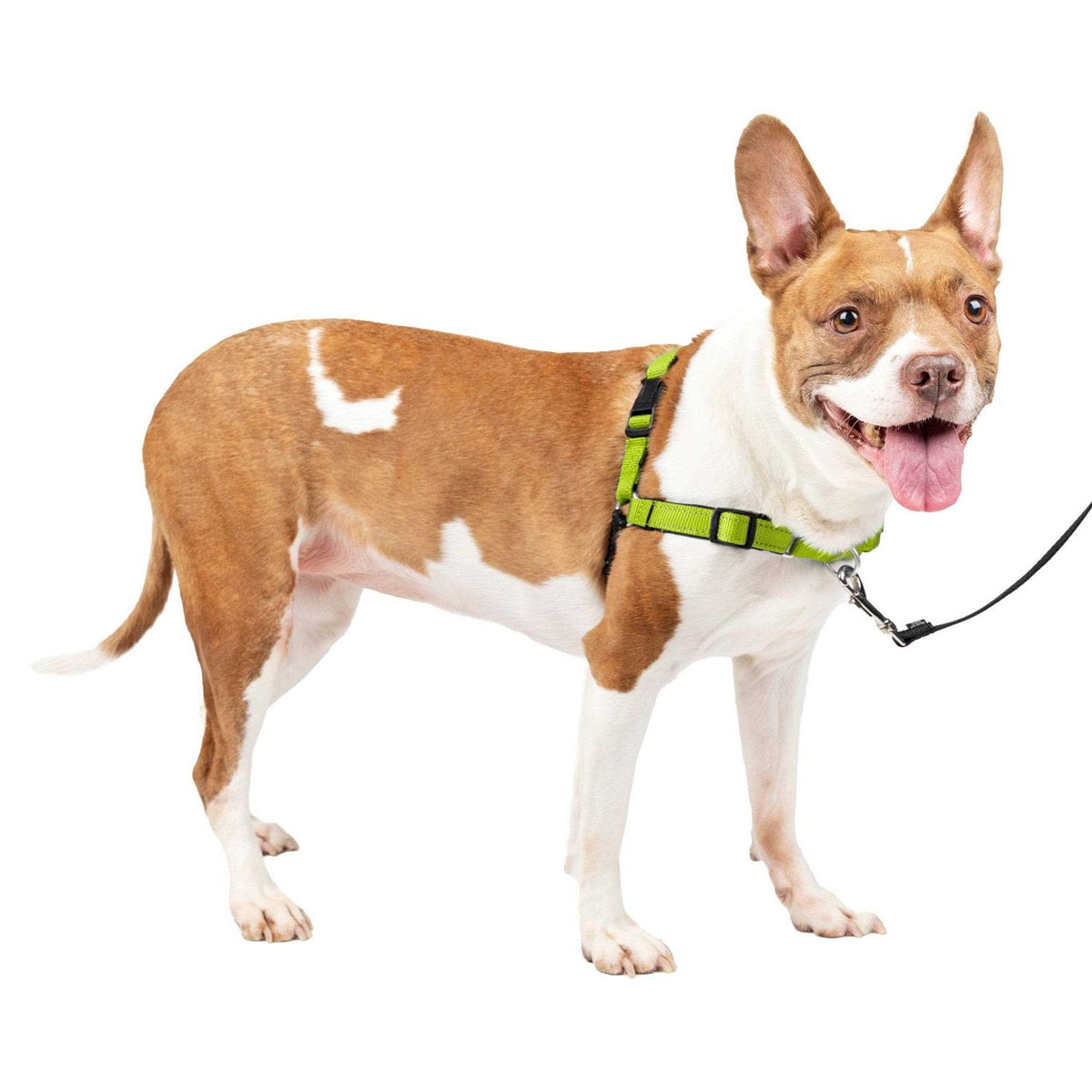 Easy Walk Harness D5219