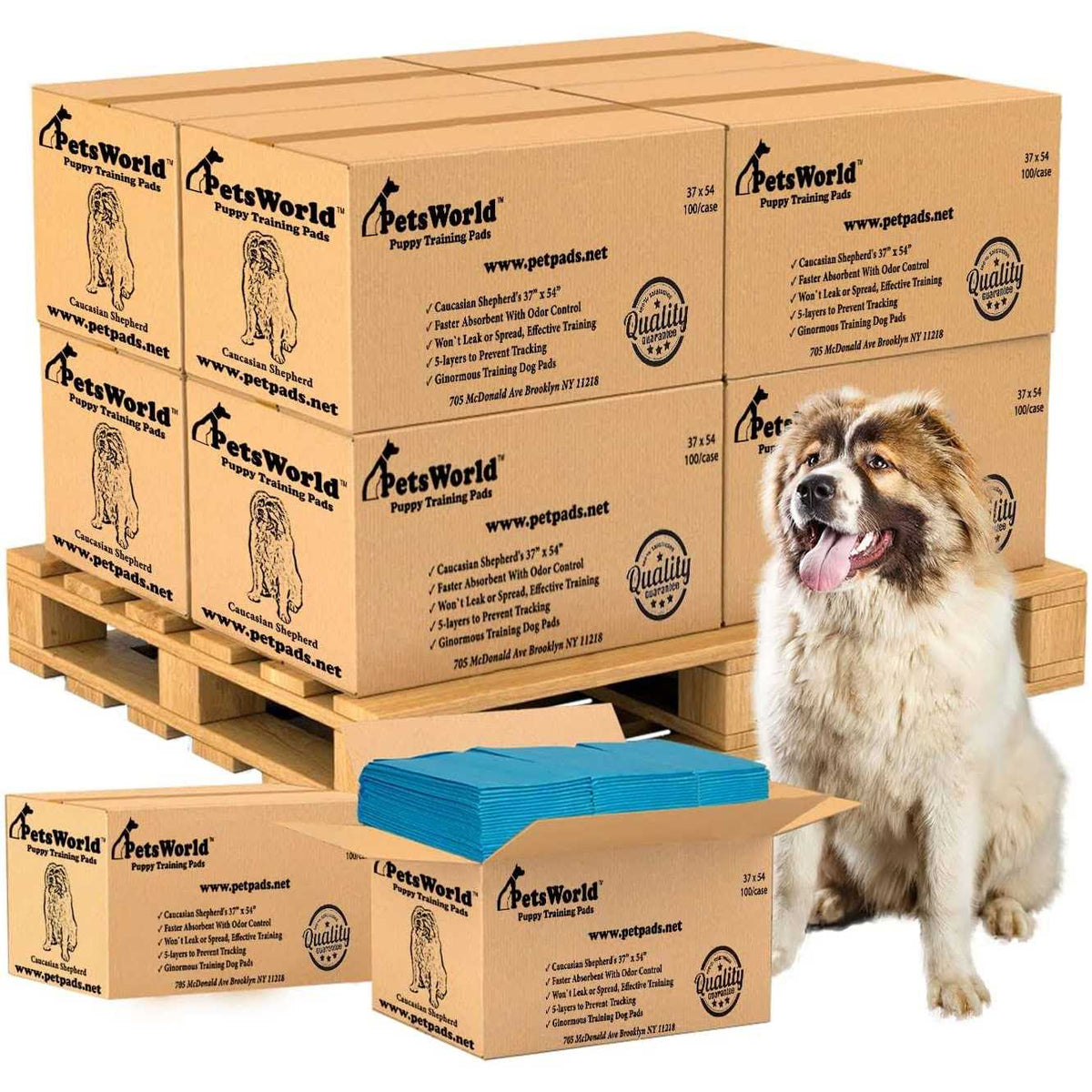 XXL Tear Resistant Pet Potty Pads Q81806