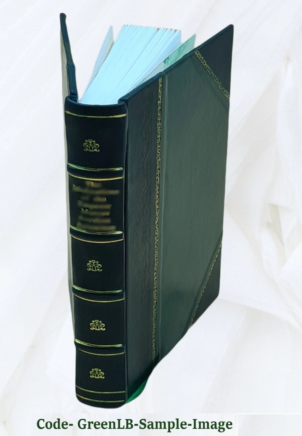 Leather Bound Book O145